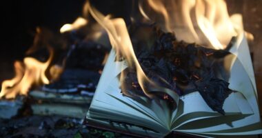 Book Burning