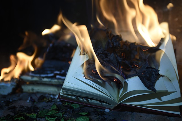 Book Burning