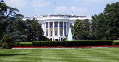 The White House
