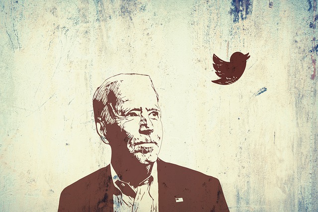 joe biden illustration