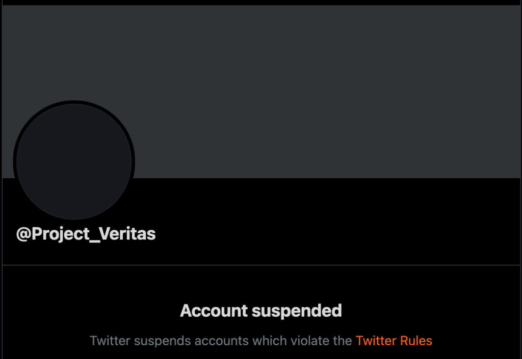 project veritas suspended