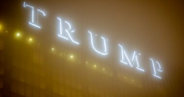 trump lights sign