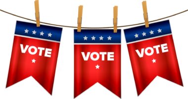 election 2020