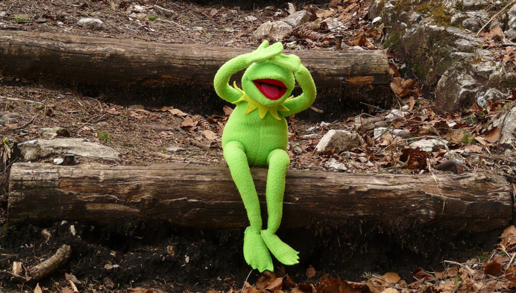 kermit sesame street