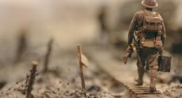 Photo by Stijn Swinnen on Unsplash